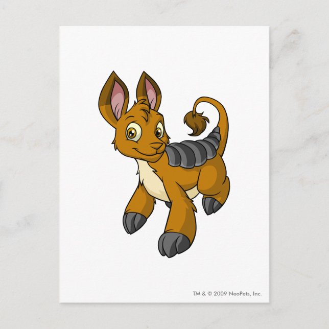 Cartão Postal Bori Brown (Frente)