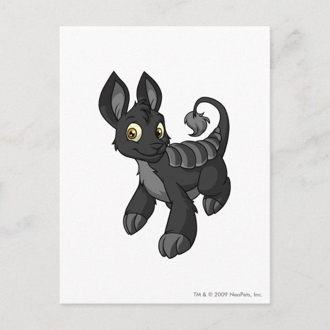 Cartão Postal Bori Shadow (Frente)