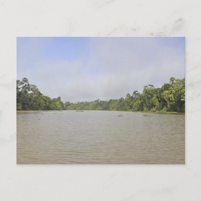 Cartão Postal Borneo Island, Malásia, vista panorâmica (Frente)