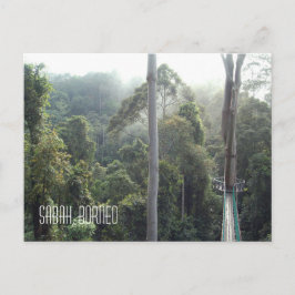 Cartão Postal Borneo RainForest Jungle Treetops Paisagem