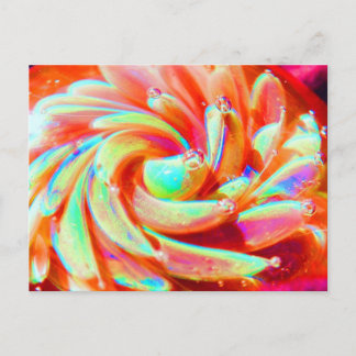 Cartão postal Boro Rainbow Glass Pastel