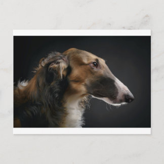 Cartão Postal borzoi