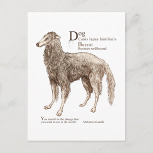 Cartão Postal Borzoi - loucos