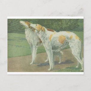 Cartão Postal Borzoi (Wolfhound russo)