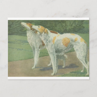 Cartão Postal Borzoi (Wolfhound russo)