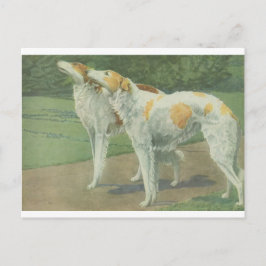 Cartão Postal Borzoi (Wolfhound russo)