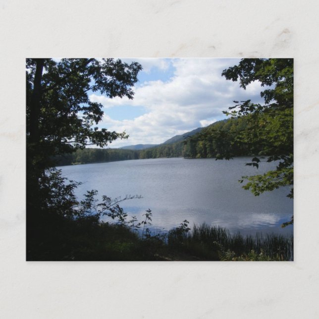 Cartão Postal bosque do parque estadual pennPensilvânia lago (Frente)