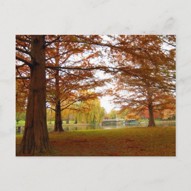 Cartão Postal Boston (Frente)