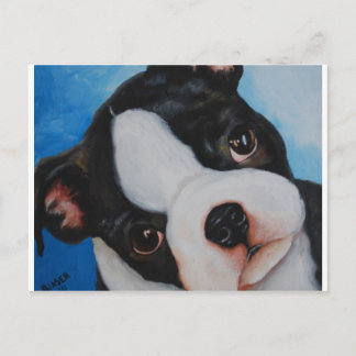 Cartão Postal Boston pup.jpg