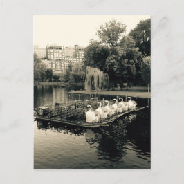 Cartão Postal Boston Swan Boats in Black and White