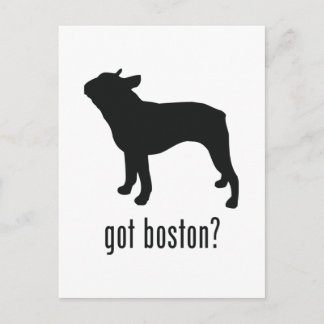 Cartão Postal Boston Terrier