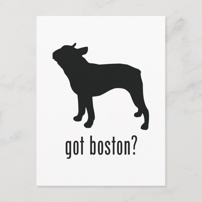Cartão Postal Boston Terrier (Frente)