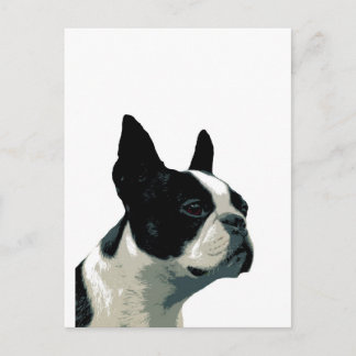 Cartão Postal Boston Terrier