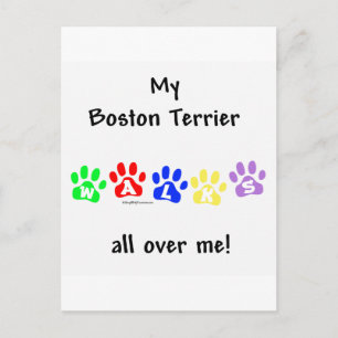Cartão Postal Boston Terrier anda por cima de mim