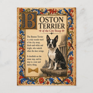 Cartão Postal Boston Terrier, Arte Medieval de Bestiário