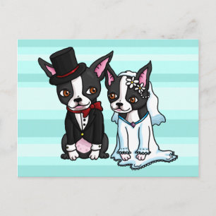 Cartão Postal Boston Terrier Bride e Groom