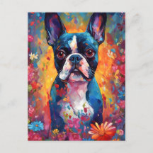 Boston Terrier colorido