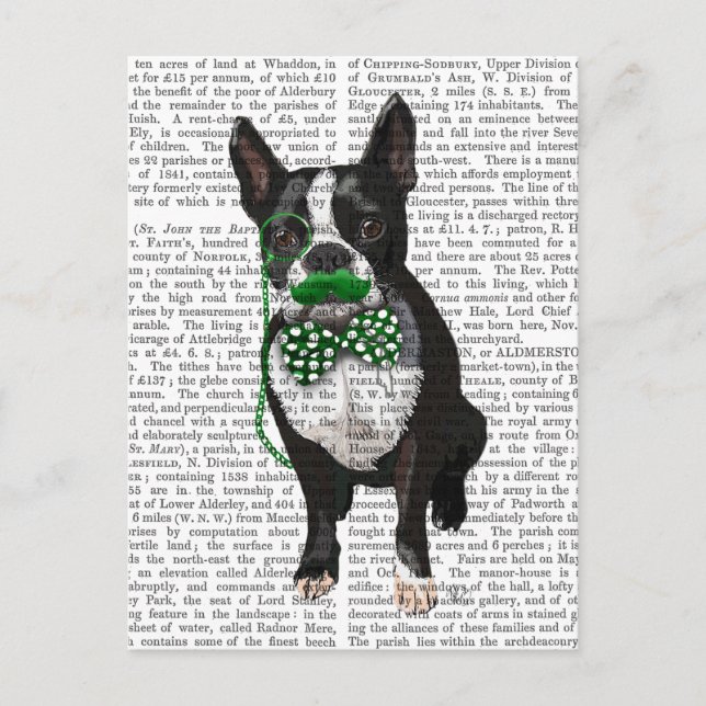 Cartão Postal Boston Terrier Com bigode verde e safado (Frente)