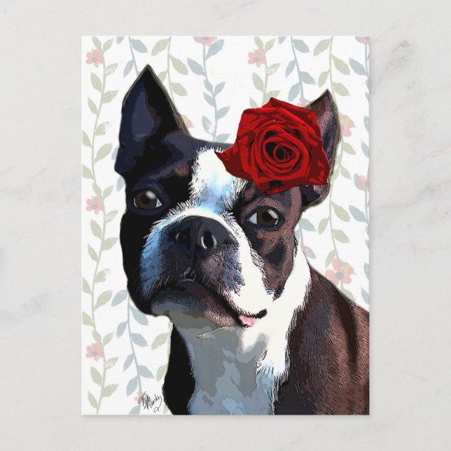 Cartão Postal Boston Terrier com Rosa no cabeçalho 2 (Frente)