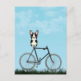 Cartão Postal Boston Terrier Dog Sentado na Bicicleta de Vintage