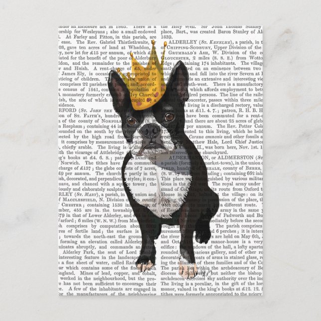 Cartão Postal Boston Terrier E Crown (Frente)