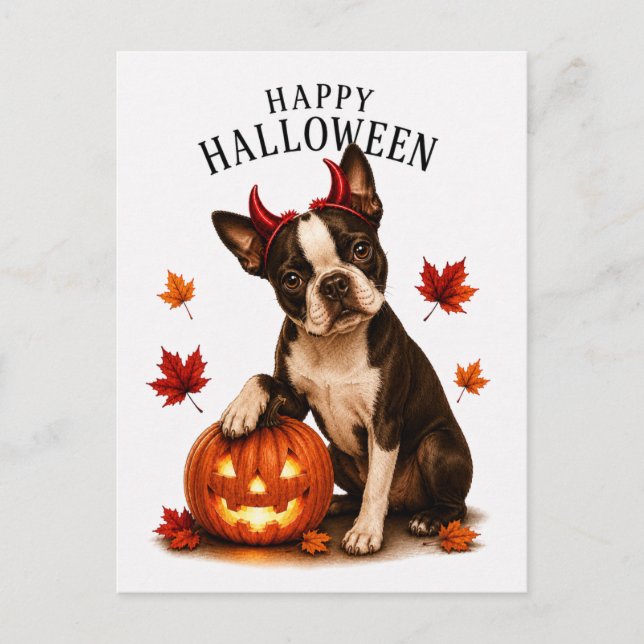 Cartão Postal Boston Terrier Halloween (Frente)
