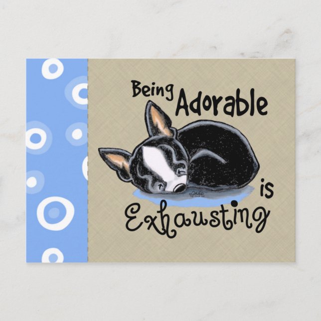Cartão Postal Boston Terrier sendo adorável (Frente)
