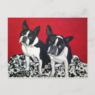 Cartão Postal Boston Terriers
