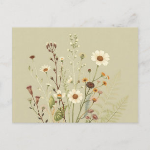 Cartão Postal Botânica Antiga de Flores Silvestres e Samambaias