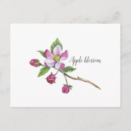 Cartão Postal Botânica do Flor de Maçã de Aquarela