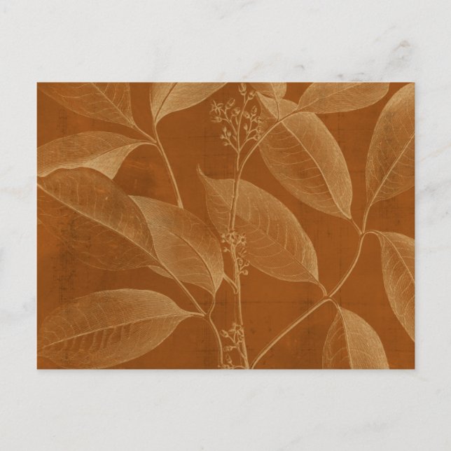 Cartão Postal Botânica Moderna VI (Frente)