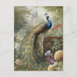 Cartão Postal Botânica: pavão perto do castelo no jardim inglês