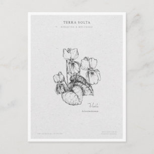 Cartão Postal Botanical Illustration 1 'The Awakening of Spring'