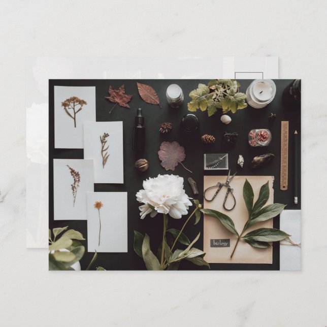 Cartão Postal Botanical Science Flat Lay Academia (Frente/Verso)
