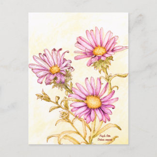 Cartão Postal Botanical wildflower watercolor, blank inside