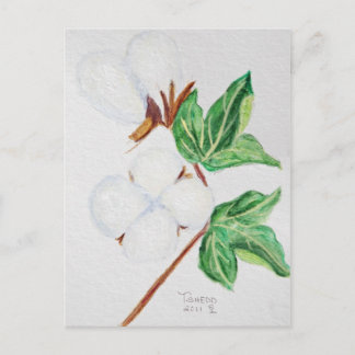 Cartão postal Botânico de Algodão Branco