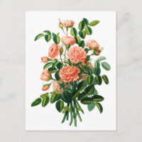 Botânico Rosa Peony Bokeh