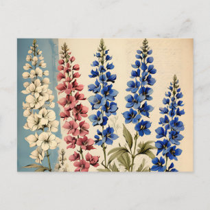 Cartão Postal Botânico Rustic Delphinium