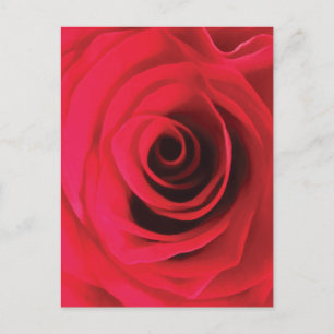Cartão Postal Botão de rosa vermelha redemoinho floral abstrato