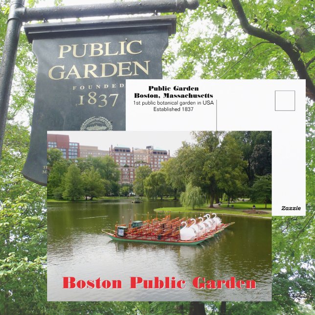 Cartão Postal Botes Swan do Jardim Público de Boston Fotografia (Criador carregado)
