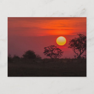 Cartão Postal Botsuana Okavango Delta Sunset