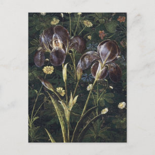 Cartão Postal Botticelli Irises