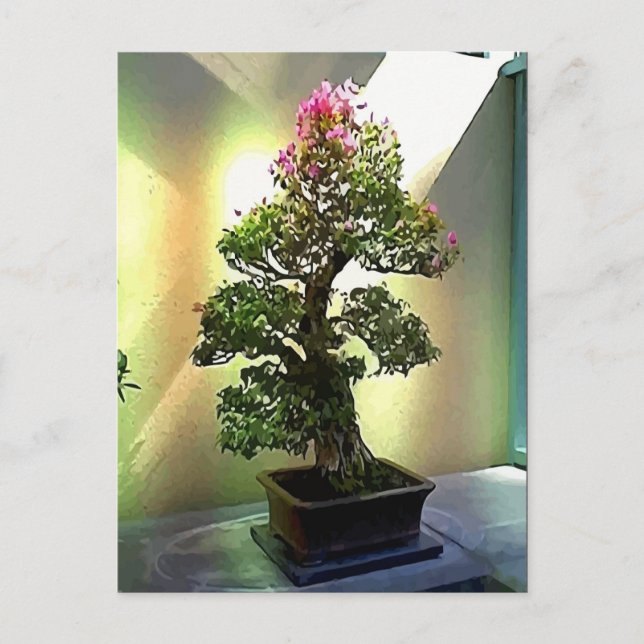 Cartão Postal Bougainvillea Bonsai Tree (Frente)