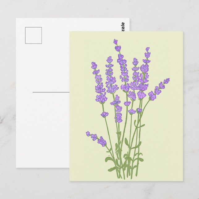 Cartão Postal Bouquet de fleurs lavande. (Frente/Verso)