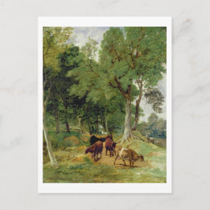 Cartão Postal Bovinos em Devonshire Lane