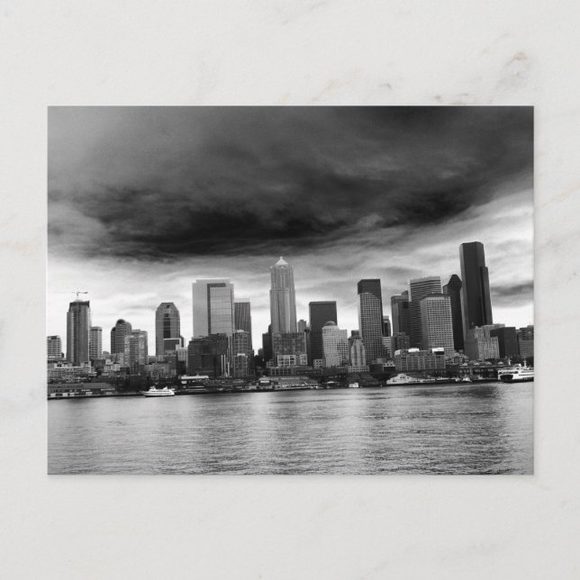 Cartão Postal Bovinos negros e brancos (Frente)