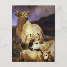 Cartão Postal Bovinos Selvagens de Chillingham por Edwin Henry L