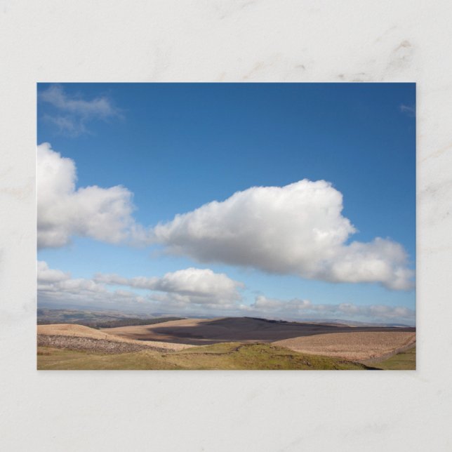 Cartão Postal Bowstonegato (Frente)