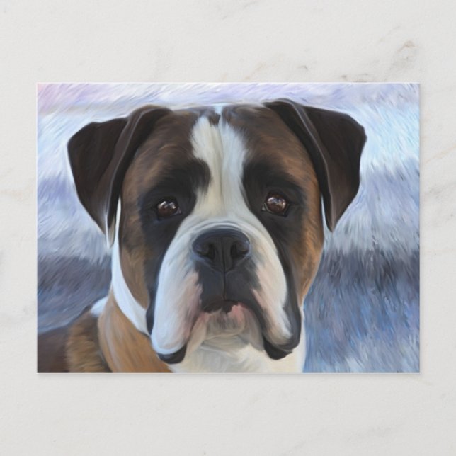 Cartão Postal Boxer (Frente)