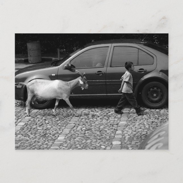 Cartão Postal Boy and Goat, La Antígua Guatemala (Frente)